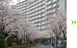 東京都供給公社住宅